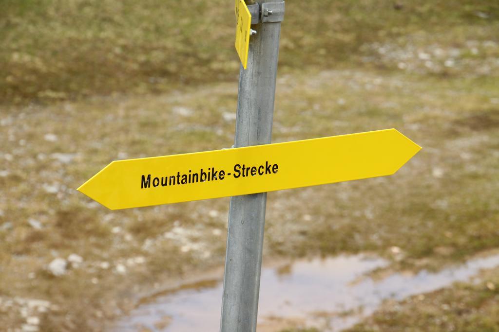 Alpendomizil Pia Apartment Muhlbach Am Hochkonig Luaran gambar